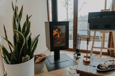 a fireplace in a living room with a tv at Casal Oseira in Ourense
