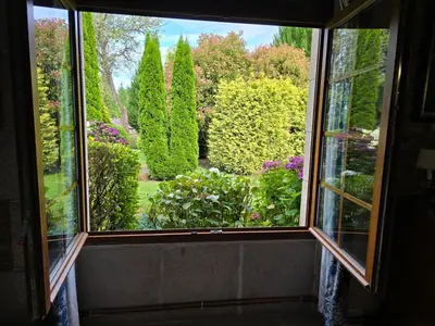an open window with a view of a garden at PORTA ESPERANZA in Cospeito