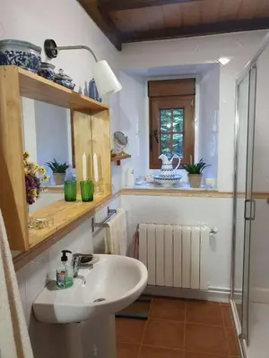 a bathroom with a sink and a shower at PORTA ESPERANZA in Cospeito