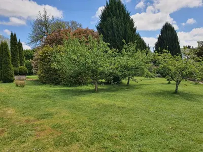 a field of grass with trees and bushes at PORTA ESPERANZA in Cospeito