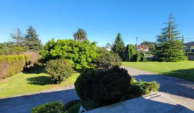 a view of a garden with trees and bushes at Villagalicia360 in Bergondo