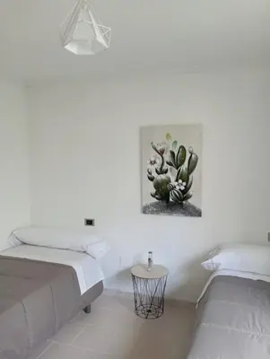 two windows in a bathroom with curtains and a plant at A Casa do San Paio de Buscás in Ordes