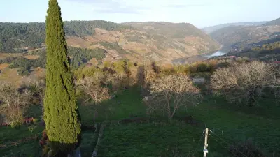 a tree in a field with a view of a valley at Casa turística Lirio in Chandreja