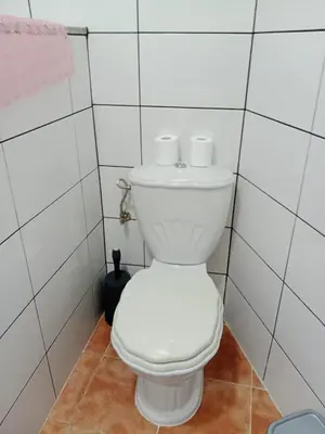 a white toilet in a white tiled bathroom at Casa turística Lirio in Chandreja