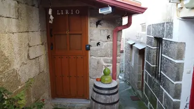 a green frog sitting on a barrel in front of a door at Casa turística Lirio in Chandreja