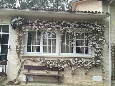 a building with a window with flowers on it at Agro da Gandarela in Teo