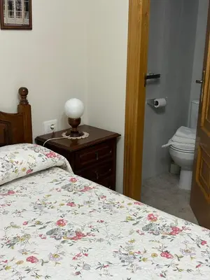 a bedroom with a bed and a bathroom with a toilet at PENSIÓN* AS VIÑAS in Puebla del Brollón
