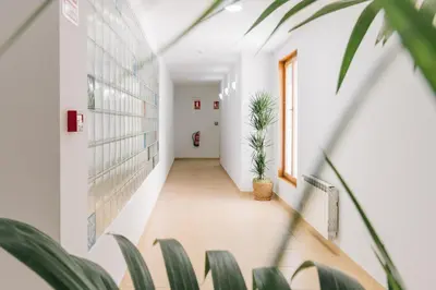 a corridor in a building with plants at Vila Vilariño Albergue Hotel & Restaurante in Ourense