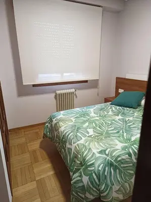 a bedroom with a bed with a green comforter and a window at Vivienda Arias in Carballino