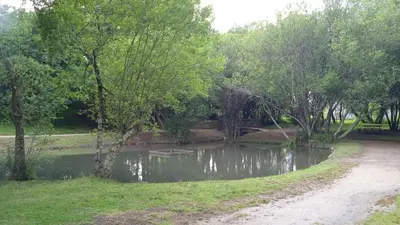 a pond in the middle of a park with trees at O Portiño de Sigueiro # a 10 min de Santiago in Sigüeiro