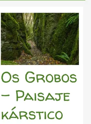 a picture of a forest with the words os broos palace kakapo at Casa Alba in Chan de Vilar