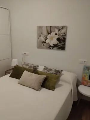 a white bed with pillows and a picture on the wall at ALVAFEr II in Ribadeo