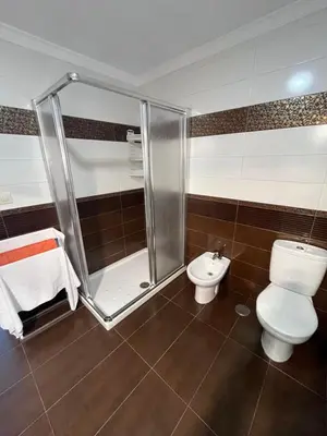 a bathroom with a shower and a toilet and a sink at Hostal-Restaurante San Roque in Verín