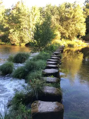 a stepping stone path next to a river at PRECIOSO ATICO MONDARIZ in Mondariz
