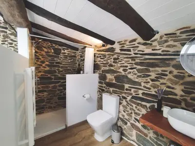 a bathroom with a stone wall with a toilet and a sink at Casa Amencer in Francos
