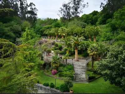 an aerial view of a garden with palm trees at Torre do Rio in Caldas de Reis