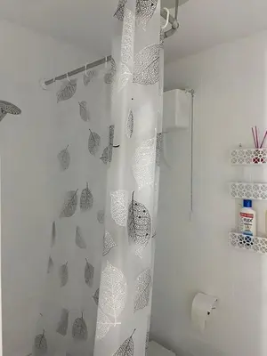 a bathroom with a shower curtain with a toilet at VT Maria in Ribadeo