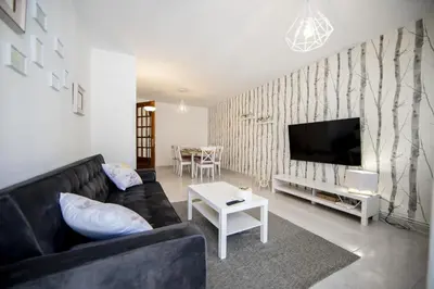 a living room with a black couch and a tv at Dulces Estancias in Lalín