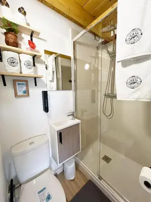 a bathroom with a toilet and a shower at Catapiriño - Confort Elegante y Exclusivo en el Corazón de la Ciudad in Ourense