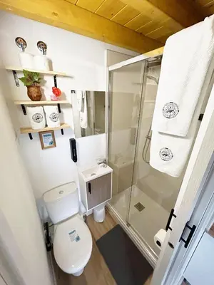 a small bathroom with a toilet and a shower at Catapiriño - Confort Elegante y Exclusivo en el Corazón de la Ciudad in Ourense