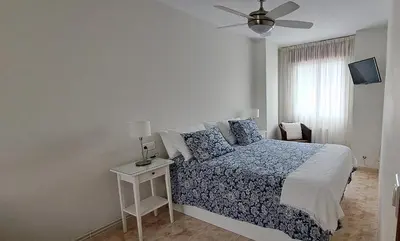 a bedroom with a bed and a ceiling fan at Casa Castrexa in Novoa