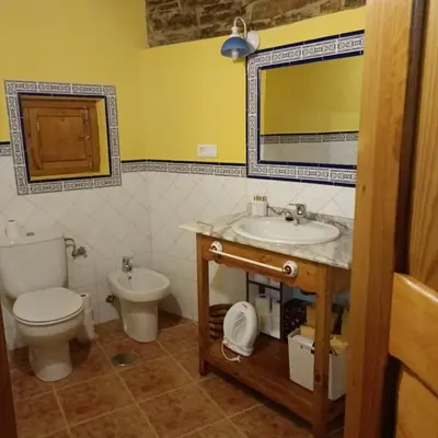 a bathroom with a toilet and a sink and a mirror at Casa del agua in Espinoso de Compludo