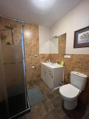 a bathroom with a toilet and a shower and a sink at Cuatro Calles Picarolas in Ribadeo