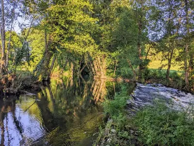 a river with trees and reflections in the water at O Val de Vilaboa in Bóveda