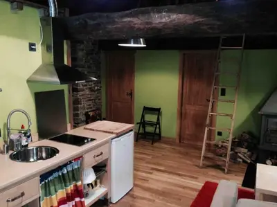 a kitchen with green walls and a sink and a stove at O Recuncho de Doiras in Ferreiravedés