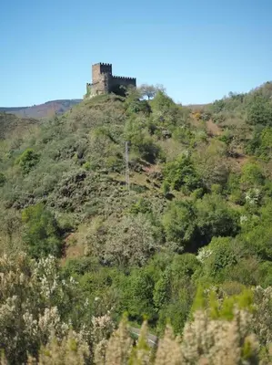 a castle on top of a hill with trees at O Recuncho de Doiras in Ferreiravedés