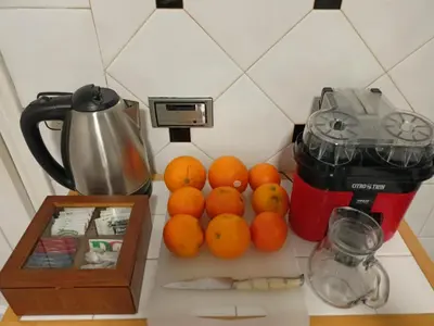 a bunch of oranges on a counter next to a blender at Cesuresrooms2 in Puentecesures