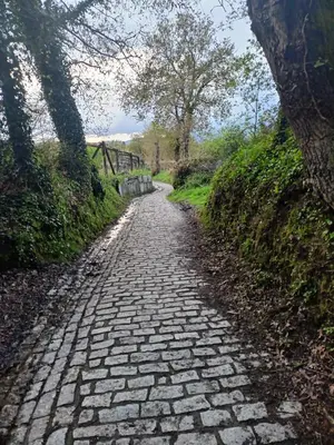 a stone path with trees on the side of a hill at Cesuresrooms2 in Puentecesures