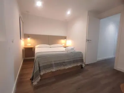 a bedroom with a large bed in a room at Lepanto2 - En el centro gastronómico y junto a la catedral in Ourense