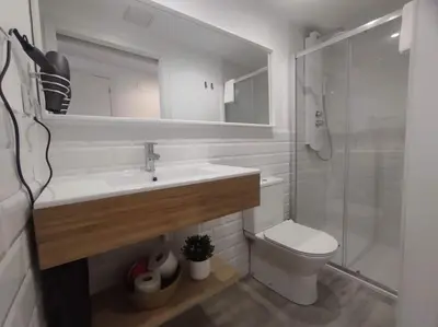 a bathroom with a sink and a toilet and a shower at Lepanto2 - En el centro gastronómico y junto a la catedral in Ourense