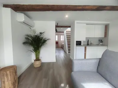a living room with a couch and a potted plant at Lepanto 4 - Precioso y súper luminoso dúplex con vistas in Ourense
