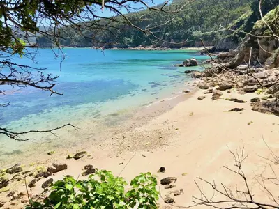 a sandy beach with blue water and trees at The Cliffs - ViveMare in Viveiro