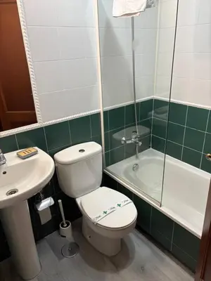 a bathroom with a toilet and a sink and a shower at Hotel Real in Santiago de Compostela