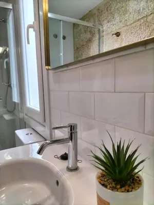 a bathroom with a sink and a mirror and a plant at Casa Carradas in Villarino Frío