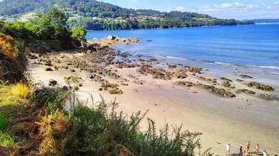 a beach with a bunch of animals on the sand at VilafraggleRock, casa de diseño moderno en Pontedeume in Puentedeume