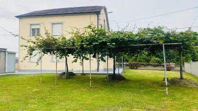 a group of trees in a yard in front of a house at Carballeira house in Lago