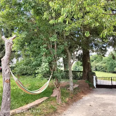 a hammock hanging from two trees in a park at A casa do Rio - The River House in Arzúa