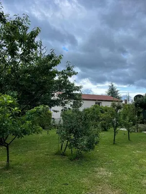 a group of trees in a yard with a building at La Fincurri del Nando in A Coruña