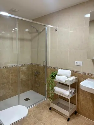 a bathroom with a shower and a toilet and a sink at alesamar B in Burela de Cabo