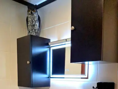 an owl sitting on top of a cabinet in a kitchen at Paradita del camino in Sarria