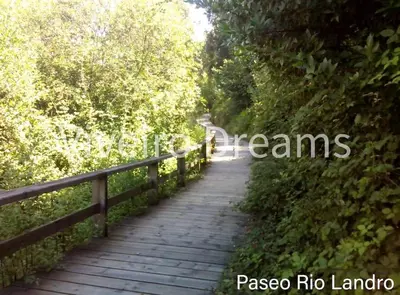 a wooden path through a forest with a fence at Viveiro Dreams in Viveiro