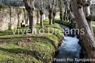a creek in a park with trees and a wall at Viveiro Dreams in Viveiro