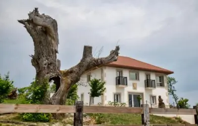 a large uprooting tree in front of a house at Pepiño de Tomonte in Atrave