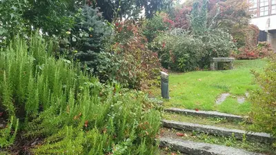 a garden with some stairs and some plants at Casa San Amaro in San Amaro