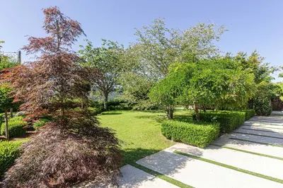 a tree in the middle of a park at Elysian Villa in Miño