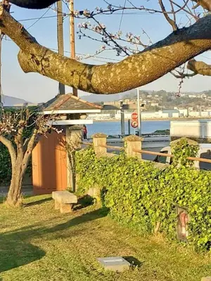 a branch of a tree with a view of the water at Covas Beach Ocean in Covas